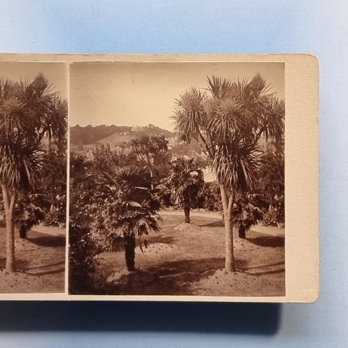 Aubin jersey stereoview - aubin,