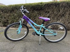 Apollo Vivid Junior Mountain