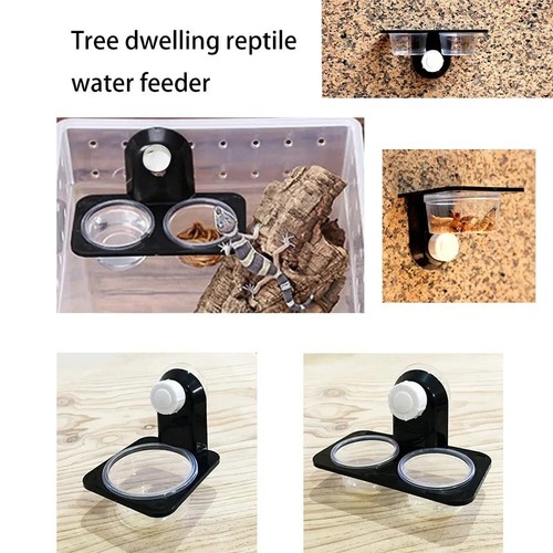 1pc reptile food - food, crested