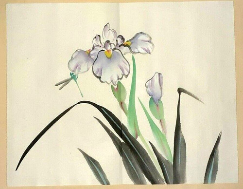 Tombo iris dragonfly - tombo, japanese