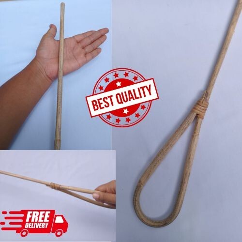 Cane stick rattan scholastic - stick,