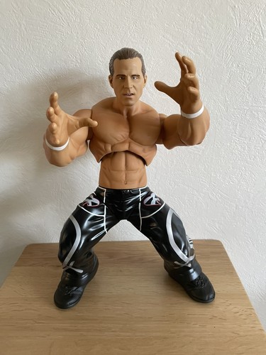 Shawn michaels hbk wwe ring - shawn,