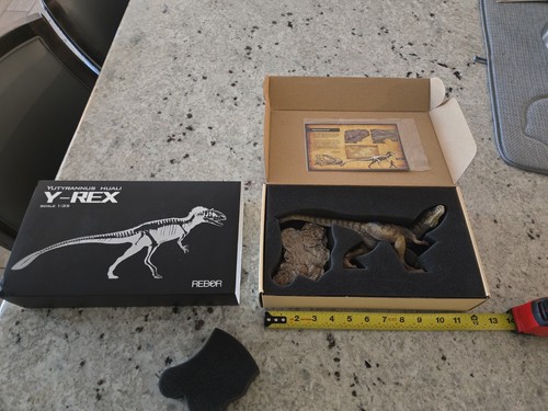 Rebor yutyrannus huali - yutyrannus,
