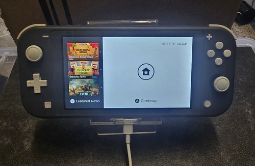 Nintendo switch lite grey - nintendo,