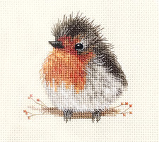 Baby fluffy ROBIN Redbreast