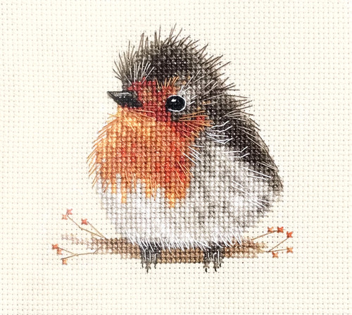 Fluffy robin redbreast - redbreast, chick