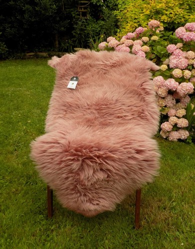 Extra large pink - -, 100%