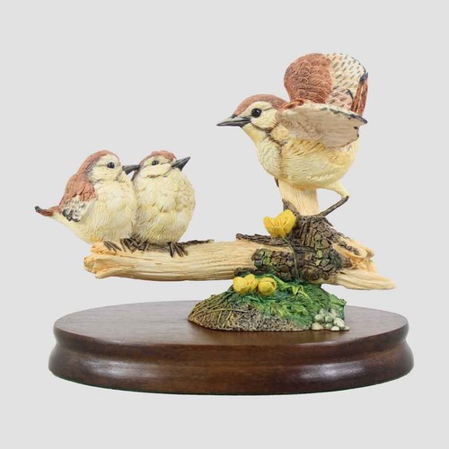 Wren and chicks branch - and,