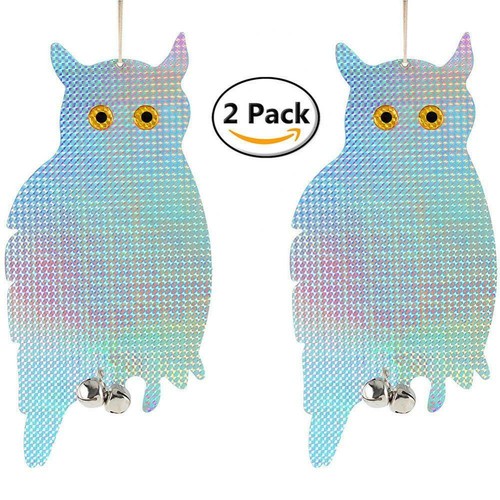 Realistic bird owl - 2x,