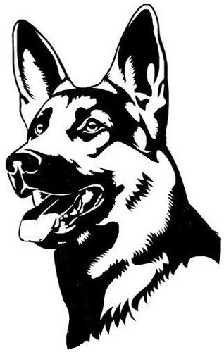 Large german shepherd dog - shepherd,