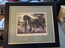 The Shire Stallion  Wood Engraving From A Private Collection C .F. TUNNICLIFFE