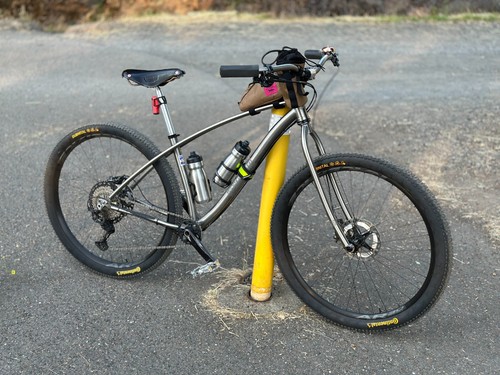 Black sheep speedster - sheep, medium