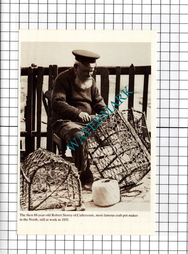 Robert storey cullercoats - robert,