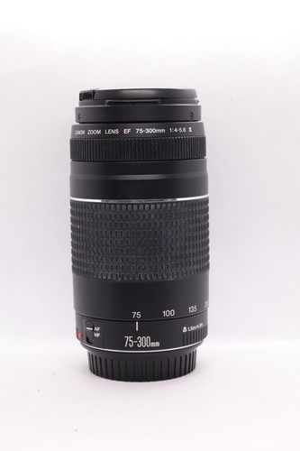 Canon 300mm 5 - f/4-5.6, iii