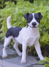 14" H Standing Jack Russell