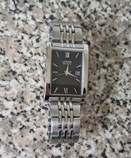 Citizen Unisex  EcoDrive 100m