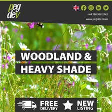 Woodland & Heavy Shade - Wild