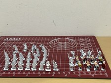 Roman Legion vs Gaul Warriors