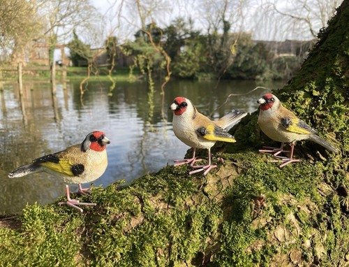 Set small resin goldfinch - of,