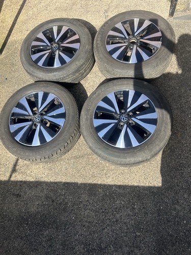 Genuine taigo - genuine, 16”