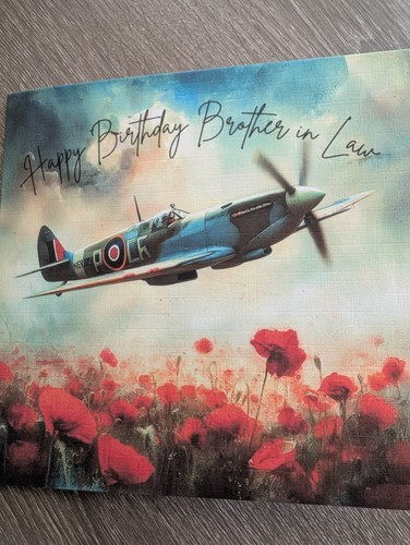 Ww2 spitfire plane - ww2, poppies