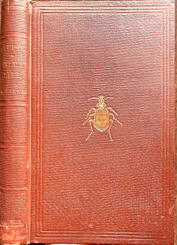 1860 1st studies in - 1860, ed.