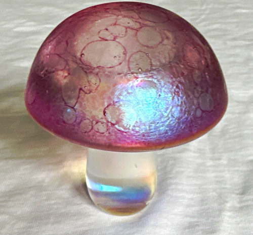 John ditchfield purple clear - john,