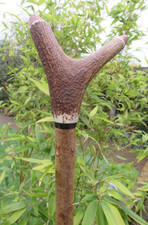 HAND CRAFTED HAZEL STAGSHORN ANTLER WALKING STICK 53 " LONG