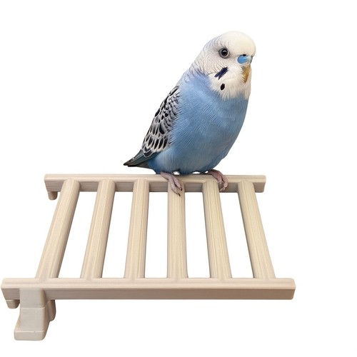 Budgie landing platform - budgie,
