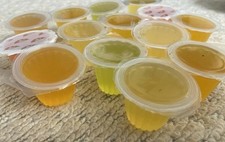 Crested Gecko Jelly Pots, Assorted Insect Food, 14 Pack, x14, Individual Pots