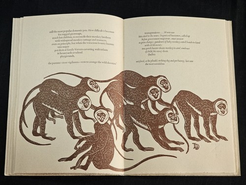 1995 the kitts monkey - 1995,