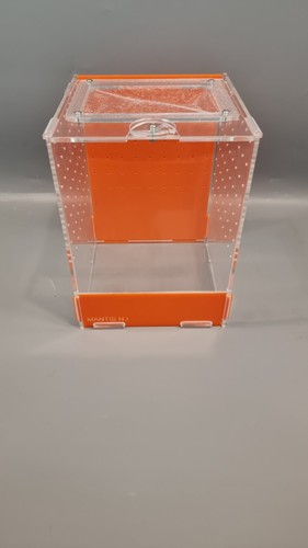 Orange mantis medium - orange,