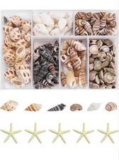 NEW 105 Seashell Decorations