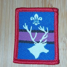 Scouting 2000 scout - uk, 2000's