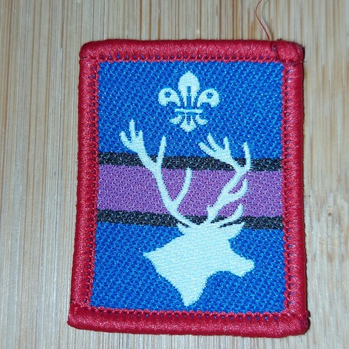 Scouting 2000 scout - uk,