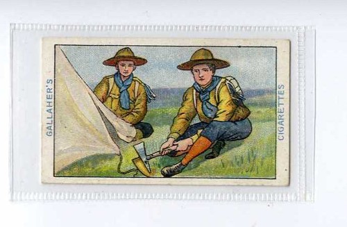 Gallaher boy scout - (jj3385), gallaher,boy