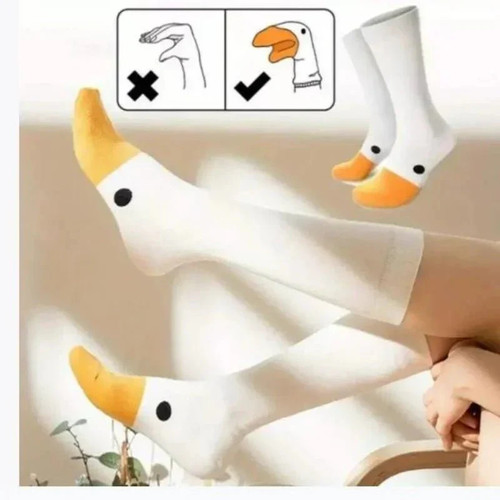 Women funny goose - goose, cartoon