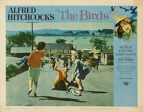 Vintage the birds 1963 - "the, birds"