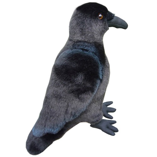 Black raven teddy with - raven,