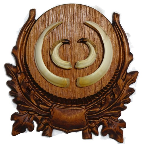 Wooden base trophy shield - wooden,