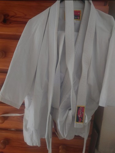Tengu nihon aikido - tengu,