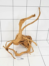 Premium Aquarium Natural Red