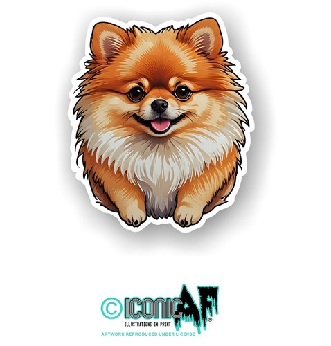 Funny cute pomeranian puppy - pomeranian,