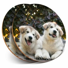 2 x Coasters - Alaskan