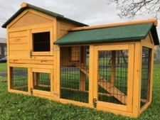 Rabbit hutch guinea pig - guinea,