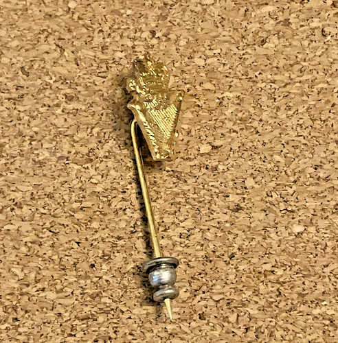 Vintage gold toned stick - toned, pin