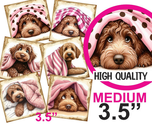 Labradoodle funny card - funny, toppers