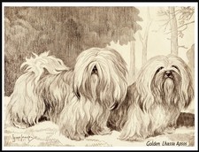 LHASA APSO DOGS VINTAGE STYLE