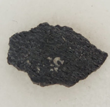 Hadrosaur Egg Shell Fossil -