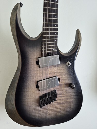 Ibanez axion label - axion,